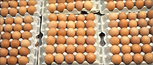 EU kêu gọi họp khẩn về bê bối trứng nhiễm độc