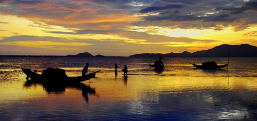 Yellow Tam Giang Lagoon
