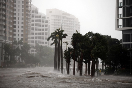 Florida Hơn 2,6 triệu hộ gia đình và doanh nghiệp mất điện do bão Irma