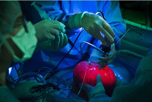 Phẫu thuật trong bào thai – niềm hy vọng mới trong việc chữa dị tật bẩm sinh