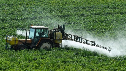 EU gia hạn giấy phép hoạt động cho sản phẩm thuốc diệt cỏ Glyphosate