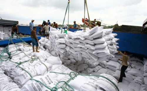 Vẫn tồn khoảng 800 000 tấn gạo trong doanh nghiệp