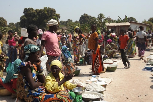 LHQ tìm kiếm viện trợ nhân đạo cho Cộng hoà Trung Phi
