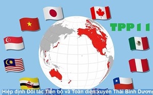 63 doanh nghiệp tại Việt Nam kỳ vọng CPTPP tác động tích cực