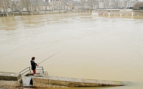 Pháp có thể cấm đánh bắt và câu cá ở thủ đô Paris