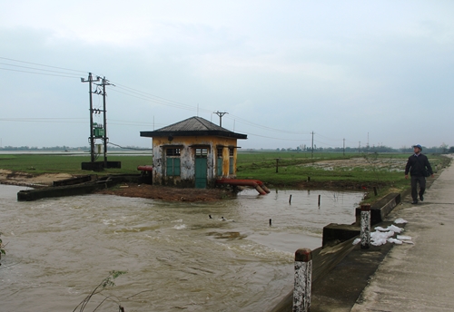 Planning irrigation in Thua Thien Hue to 2025