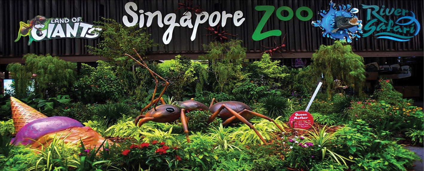 Vườn thú Quốc gia Singapore mở tour đi bộ đêm