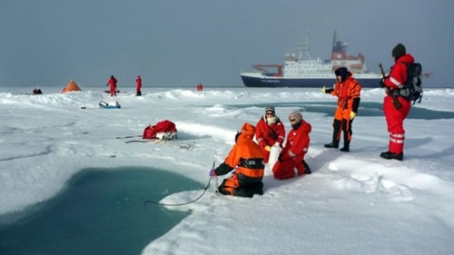 Báo động vụn nhựa trong băng Bắc Cực