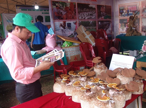 Nông sản hút khách tại “Sóng nước Tam Giang”