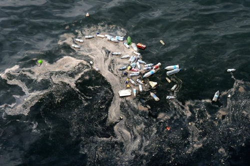 WWF Địa Trung Hải có nguy cơ trở thành “biển rác nhựa”