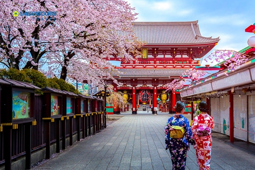Nhật Bản tăng cường nỗ lực để đạt mục tiêu đón 40 triệu khách du lịch vào năm 2020