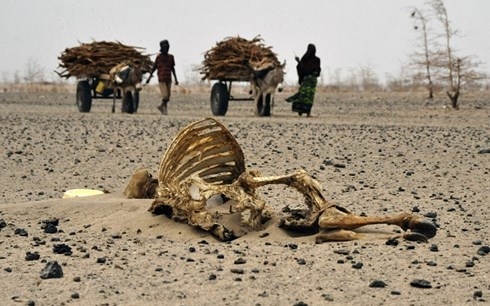 700 000 người Kenya đối mặt với tình trạng thiếu thực phẩm