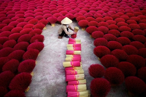 AFP “Làng hương” Việt Nam nhuộm hồng trước thềm Tết Nguyên đán