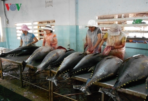 Xuất khẩu hải sản của Việt Nam sẽ tiếp tục tăng, đạt 3,5 tỷ USD năm 2019