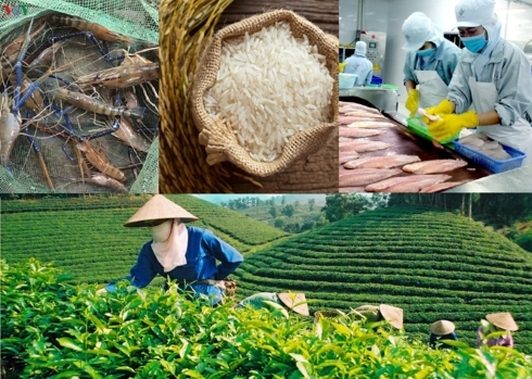 Bảo vệ thương hiệu nông sản Việt để gia tăng giá trị xuất khẩu