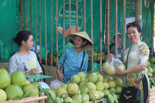 Sẵn sàng cho hội chợ sản phẩm nông nghiệp đầu tiên ở Huế