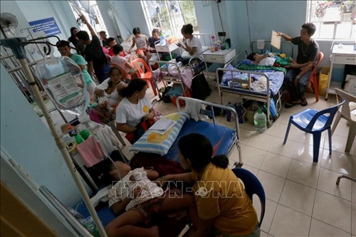 Philippines 250 000 người mắc sốt xuất huyết, 1 000 ca tử vong