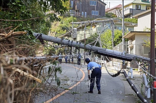 Bão Faxai đánh gục mạng lưới điện già cỗi của Nhật Bản