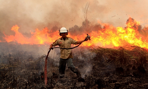 Indonesia “làm mọi thứ” để dập tắt cháy rừng