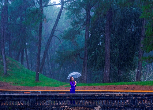 Glistening rain in Hue