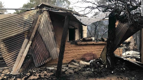 Câu chuyện cảm động của cặp đôi Australia sau “bão” lửa cháy rừng