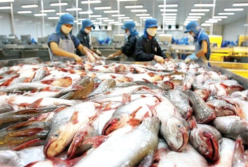 Nông sản Việt lo đáp ứng rào cản kỹ thuật tại EU