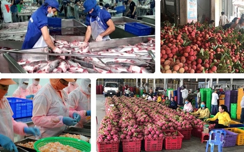 Thị trường EU mở rộng, nông sản Việt cần tận dụng ngay cơ hội