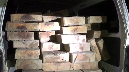 Bị cảnh sát giao thông phát hiện chở gỗ lậu, lái xe bỏ chạy vào rừng sâu