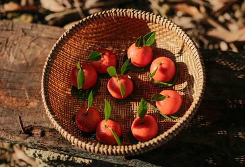 Hồng đào ngụy quả - Hue Gac fruit cake