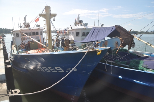 136 tàu cá mất kết nối với cơ quan quản lý thủy sản