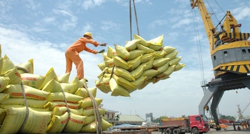 Trung Quốc nhập khẩu gạo Việt tăng gấp 4 lần so với cùng kỳ năm trước