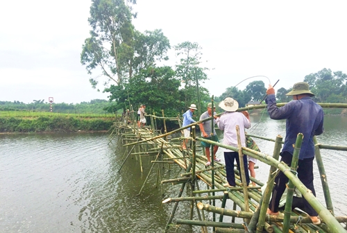 Cầu tre ngăn “sa tặc” trên sông Bồ không vi phạm quy định hiện hành