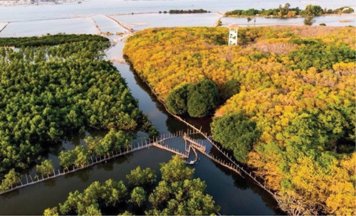Establishing Tam Giang - Cau Hai Wetland Reserve