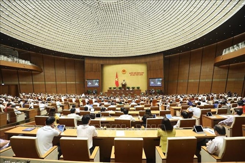 Ngày 16 6, Quốc hội biểu quyết Luật Thanh niên sửa đổi và Luật Hòa giải, đối thoại tại Tòa án