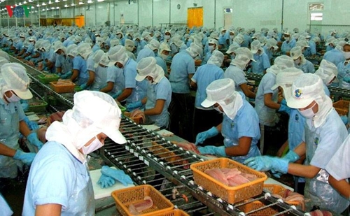 Bất chấp dịch Covid-19, xuất khẩu tôm Việt Nam vẫn tăng 5,7