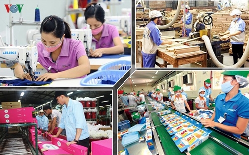Từ 1 8, nhiều mặt hàng chủ lực của Việt Nam được hưởng lợi từ EVFTA