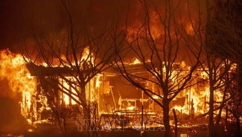 Cháy rừng tại bang California, Mỹ 6 người chết, hàng nghìn ngôi nhà bị đe dọa