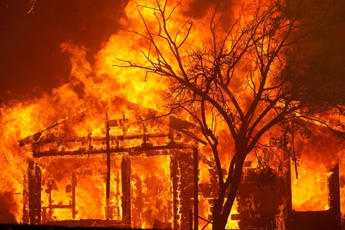 California Hơn 2 triệu mẫu đất bị thiêu rụi bởi hỏa hoạn trong năm 2020