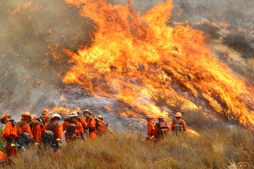 Mỹ Nửa triệu người ở tiểu bang Oregon phải sơ tán vì cháy rừng