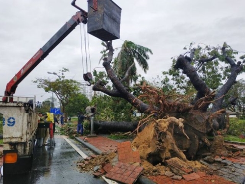 Hue city uses the broken nacre tree for the sculpture competition at Festival 2021