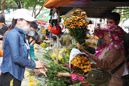 Sôi động chợ hoa cành, trái cây tết