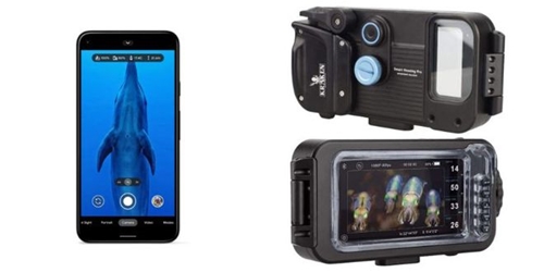 Google phát hành tính năng giúp smartphone Pixel chụp ảnh dưới nước