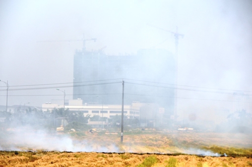 Thành phố Huế chìm trong khói mù nghi do tình trạng đốt rơm