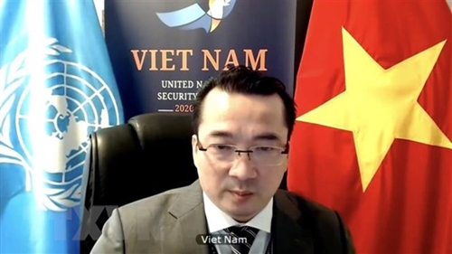 Việt Nam kêu gọi các bên tại Libya tuân thủ lệnh ngừng bắn