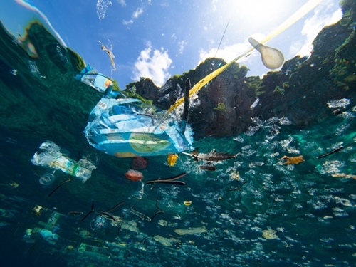 Khởi động Kế hoạch hành động ASEAN về chống rác thải nhựa đại dương