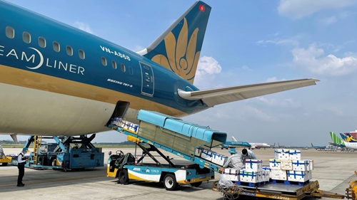 Lần đầu tiên vải thiều Bắc Giang “ngồi” ghế siêu máy bay vào TP Hồ Chí Minh