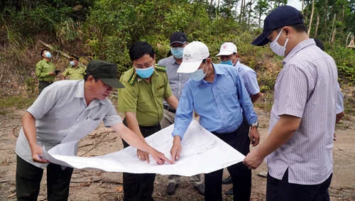Lãnh đạo tỉnh kiểm tra công tác phòng cháy, chữa cháy rừng tại Khu bảo tồn thiên nhiên Phong Điền