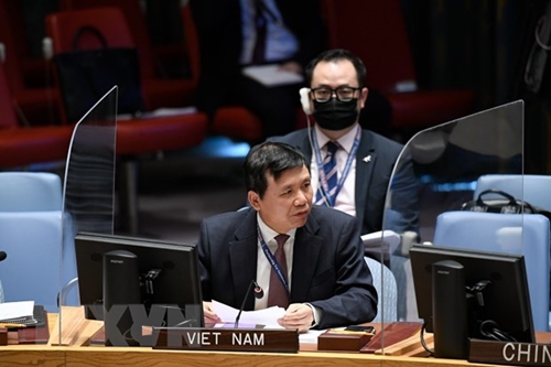 Việt Nam ủng hộ Nghị quyết kêu gọi Mỹ chấm dứt cấm vận kinh tế Cuba