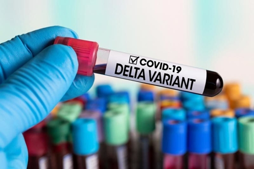 COVID-19 Biến thể Delta có thể chiếm đến 90 số ca nhiễm mới ở EU