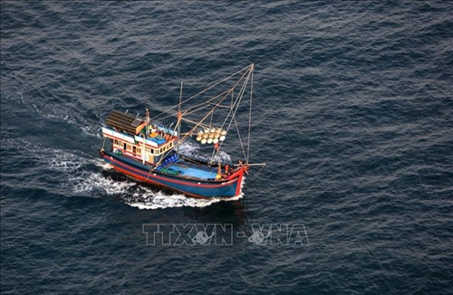 Ngăn chặn tàu cá vi phạm các quy định về chống khai thác hải sản bất hợp pháp